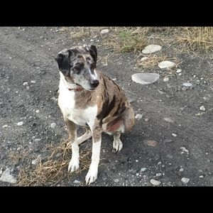 Meet your Posher, Tess